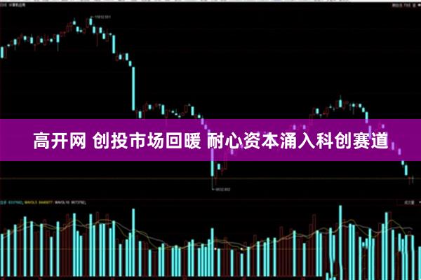 高开网 创投市场回暖 耐心资本涌入科创赛道