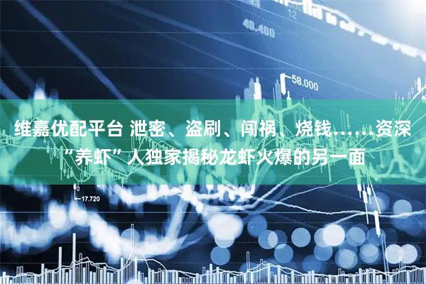 维嘉优配平台 泄密、盗刷、闯祸、烧钱……资深“养虾”人独家揭秘龙虾火爆的另一面
